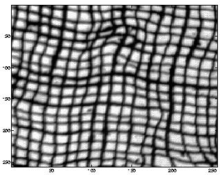 \begin{figure}\hspace{3cm}\epsfig{file=textas10.ps,width=7cm}\end{figure}