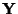 $ \mathbf{Y}$