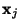 $ \mathbf{x}_j$