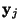 $ \mathbf{y}_j$