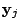 $ \mathbf{y}_j$
